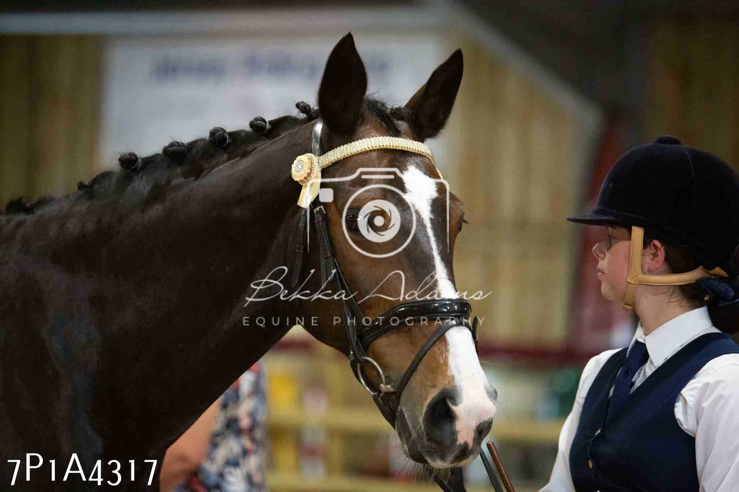 JHOYS 2023 - 9th September - Inhand Showing Pt2