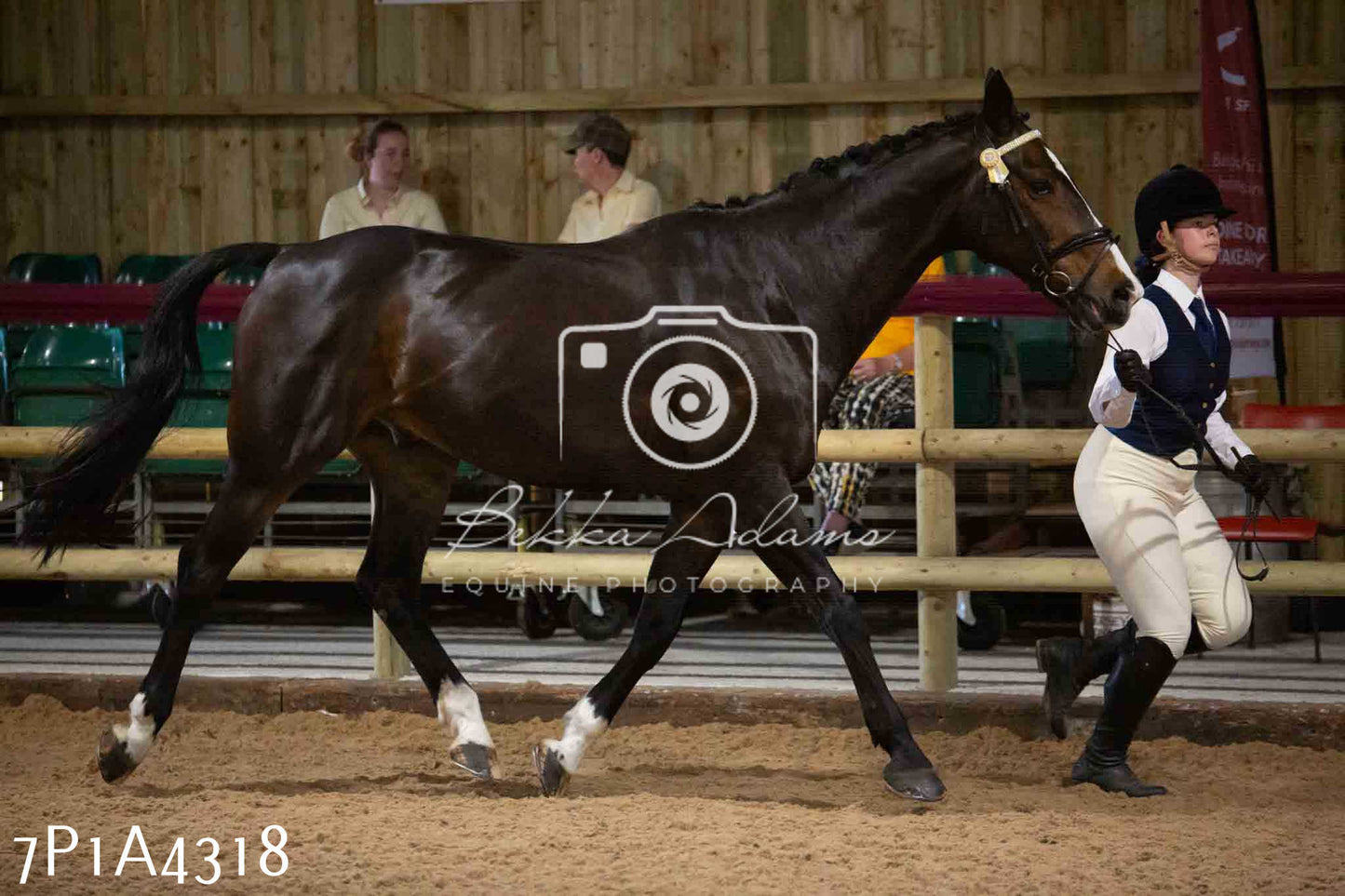 JHOYS 2023 - 9th September - Inhand Showing Pt2
