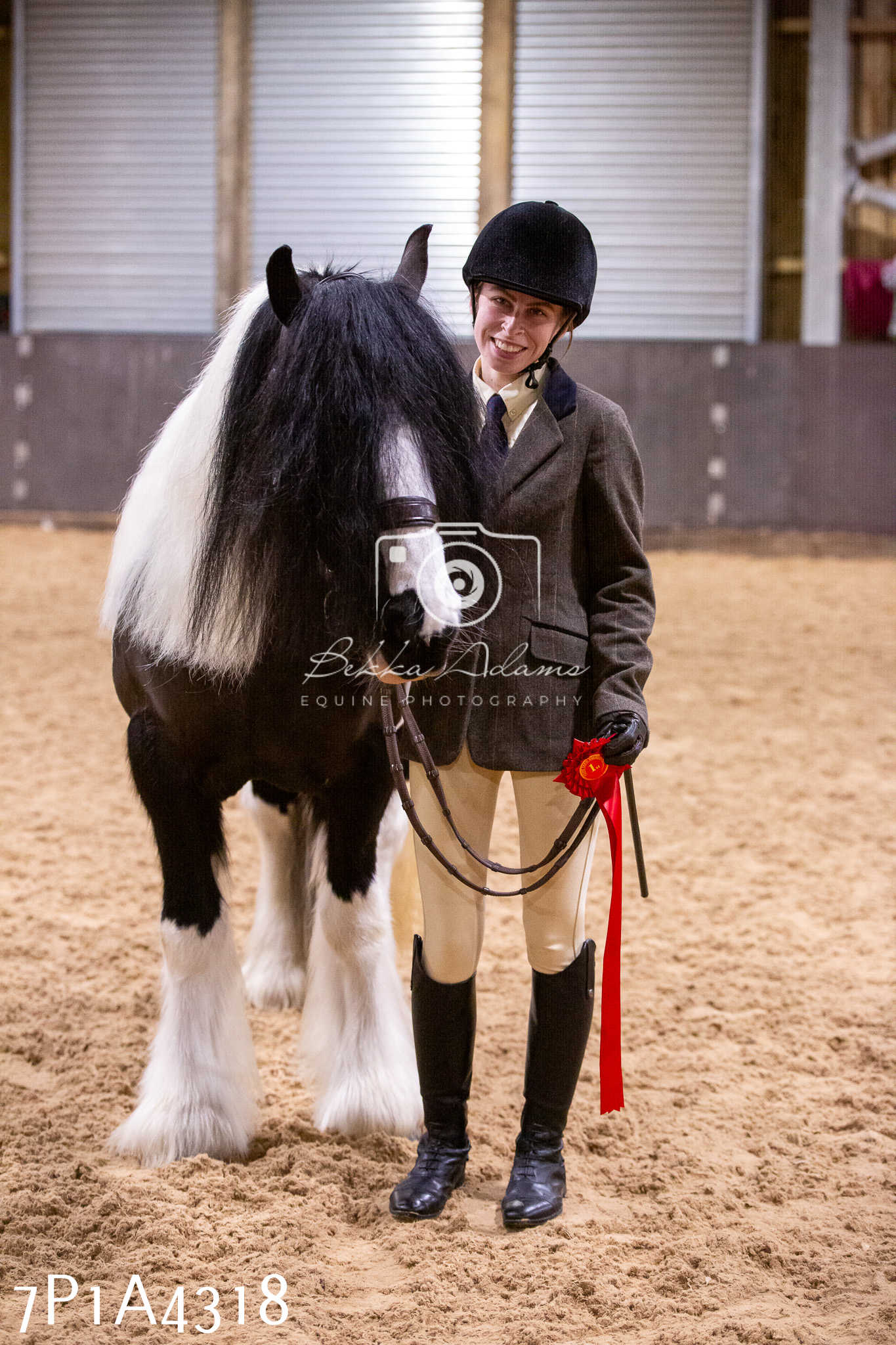 Home Farm Christmas Show 2024 - Inhand
