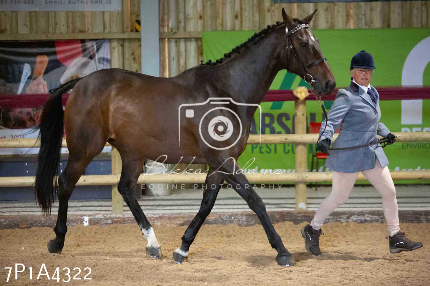 JHOYS 2023 - 9th September - Inhand Showing Pt2