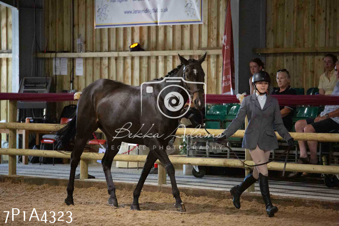JHOYS 2023 - 9th September - Inhand Showing Pt2