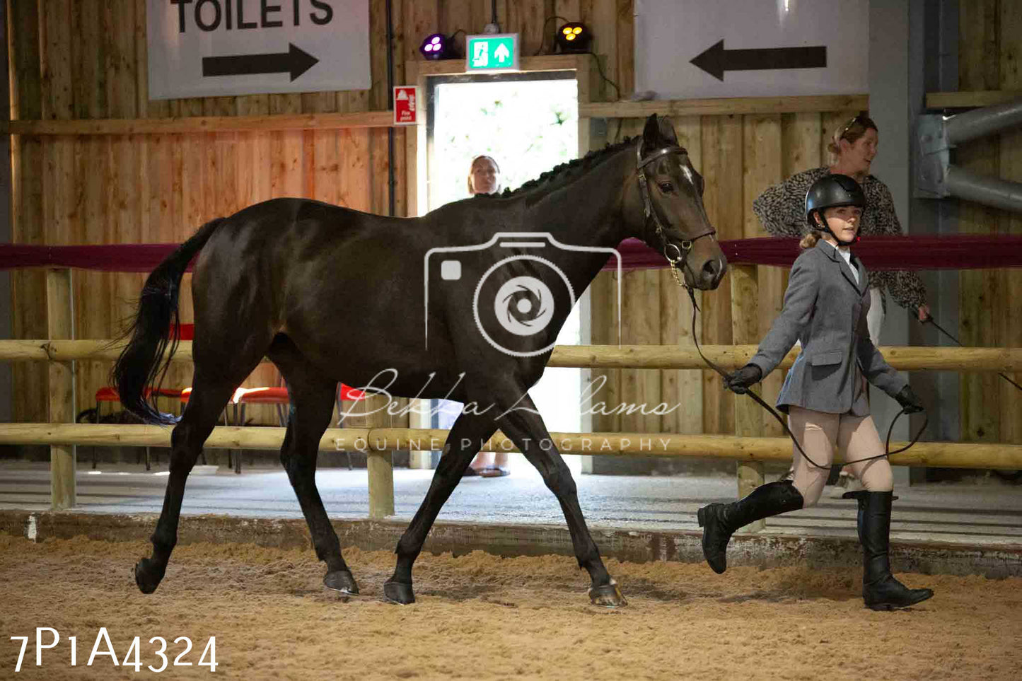 JHOYS 2023 - 9th September - Inhand Showing Pt2