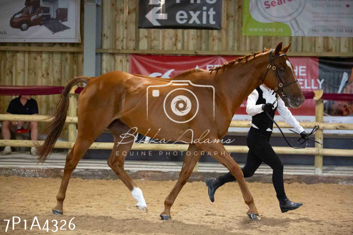 JHOYS 2023 - 9th September - Inhand Showing Pt2