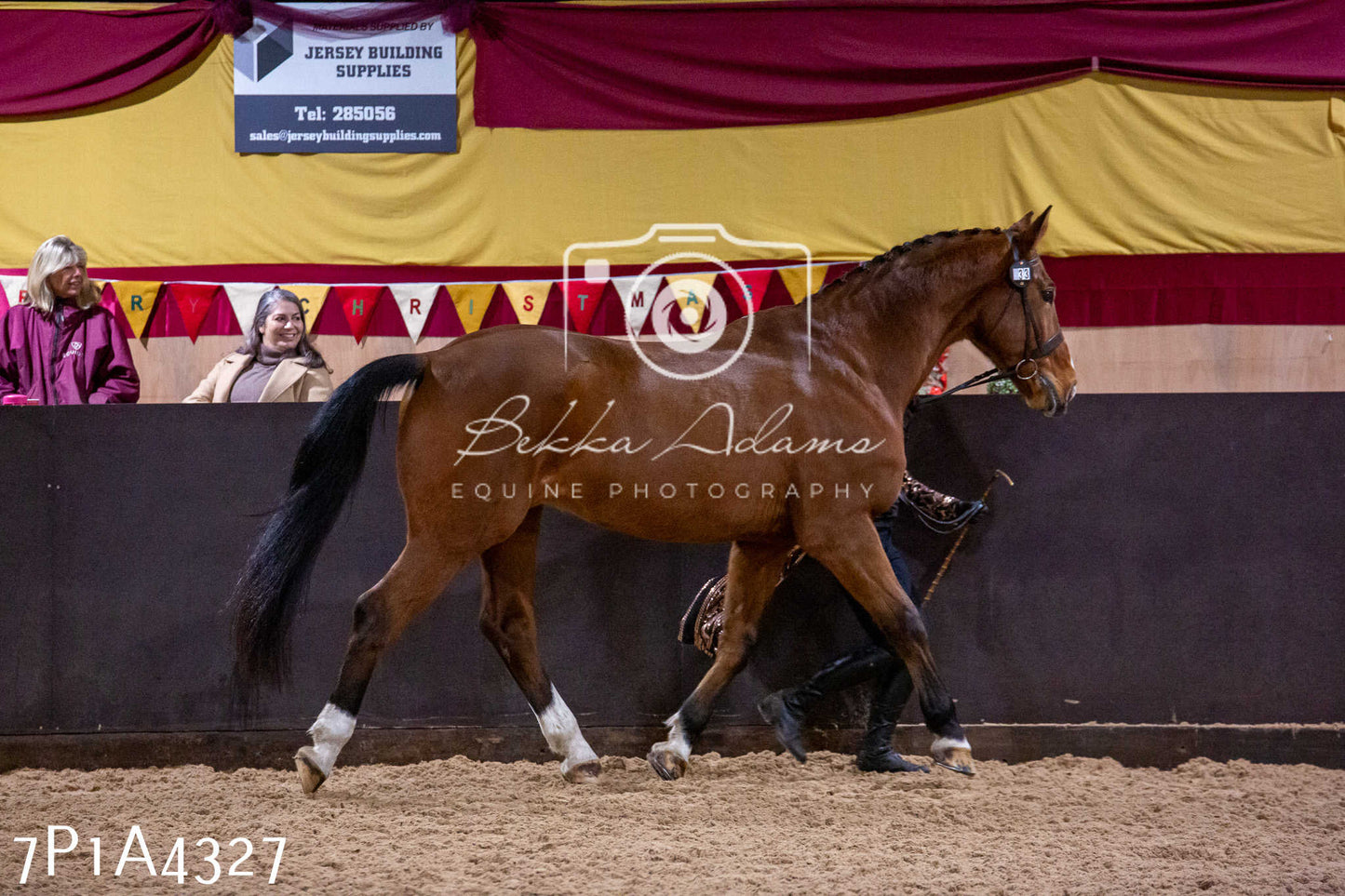 Home Farm Christmas Show 2024 - Inhand