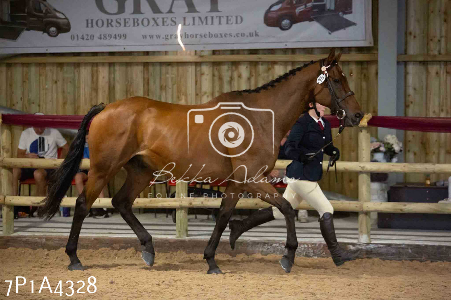 JHOYS 2023 - 9th September - Inhand Showing Pt2