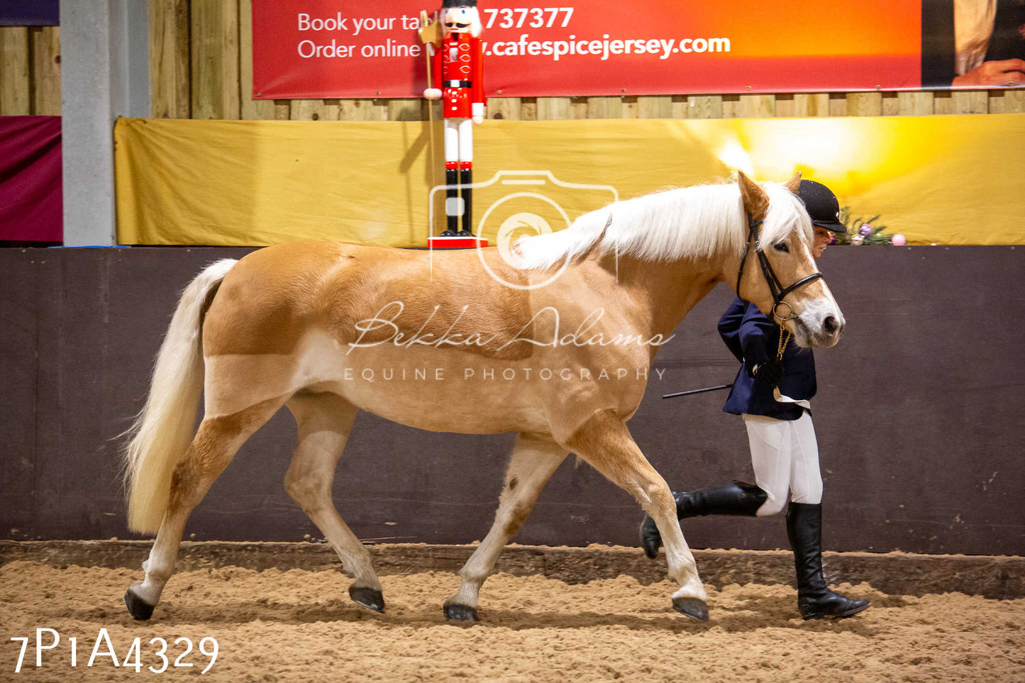 Home Farm Christmas Show 2024 - Inhand