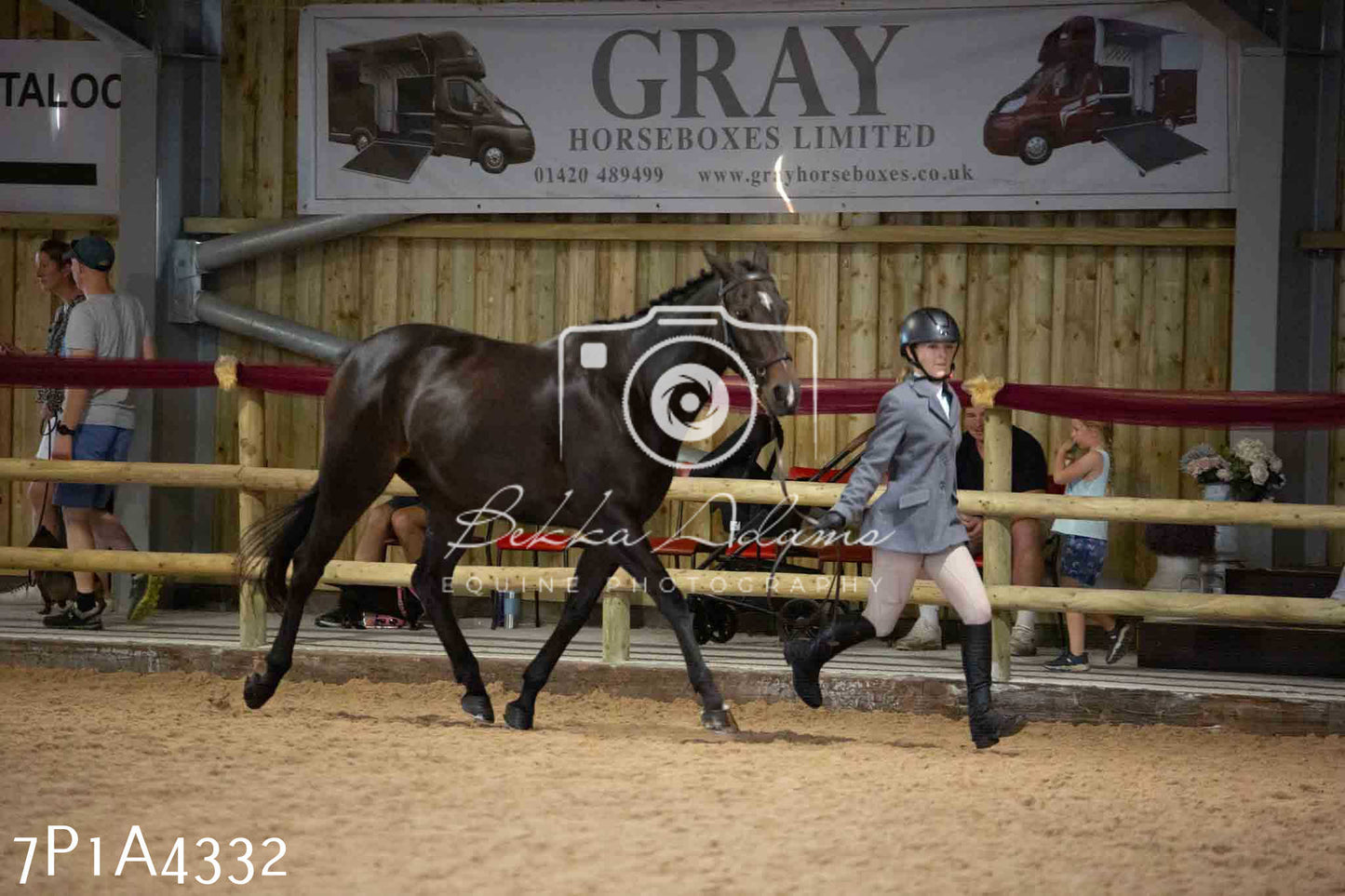 JHOYS 2023 - 9th September - Inhand Showing Pt2
