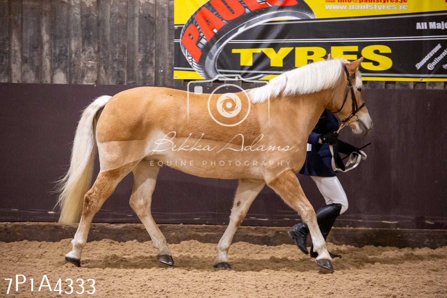 Home Farm Christmas Show 2024 - Inhand