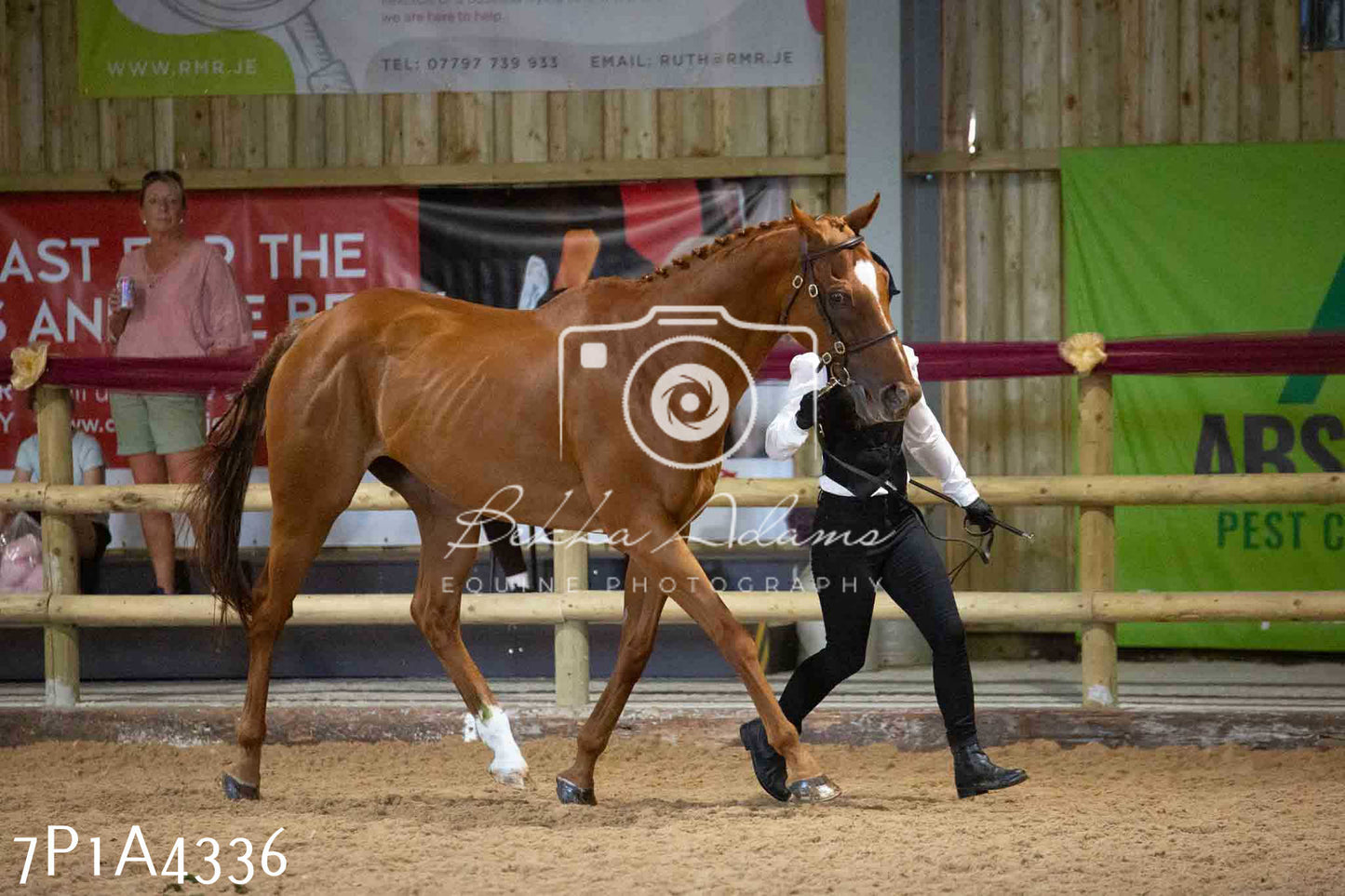 JHOYS 2023 - 9th September - Inhand Showing Pt2