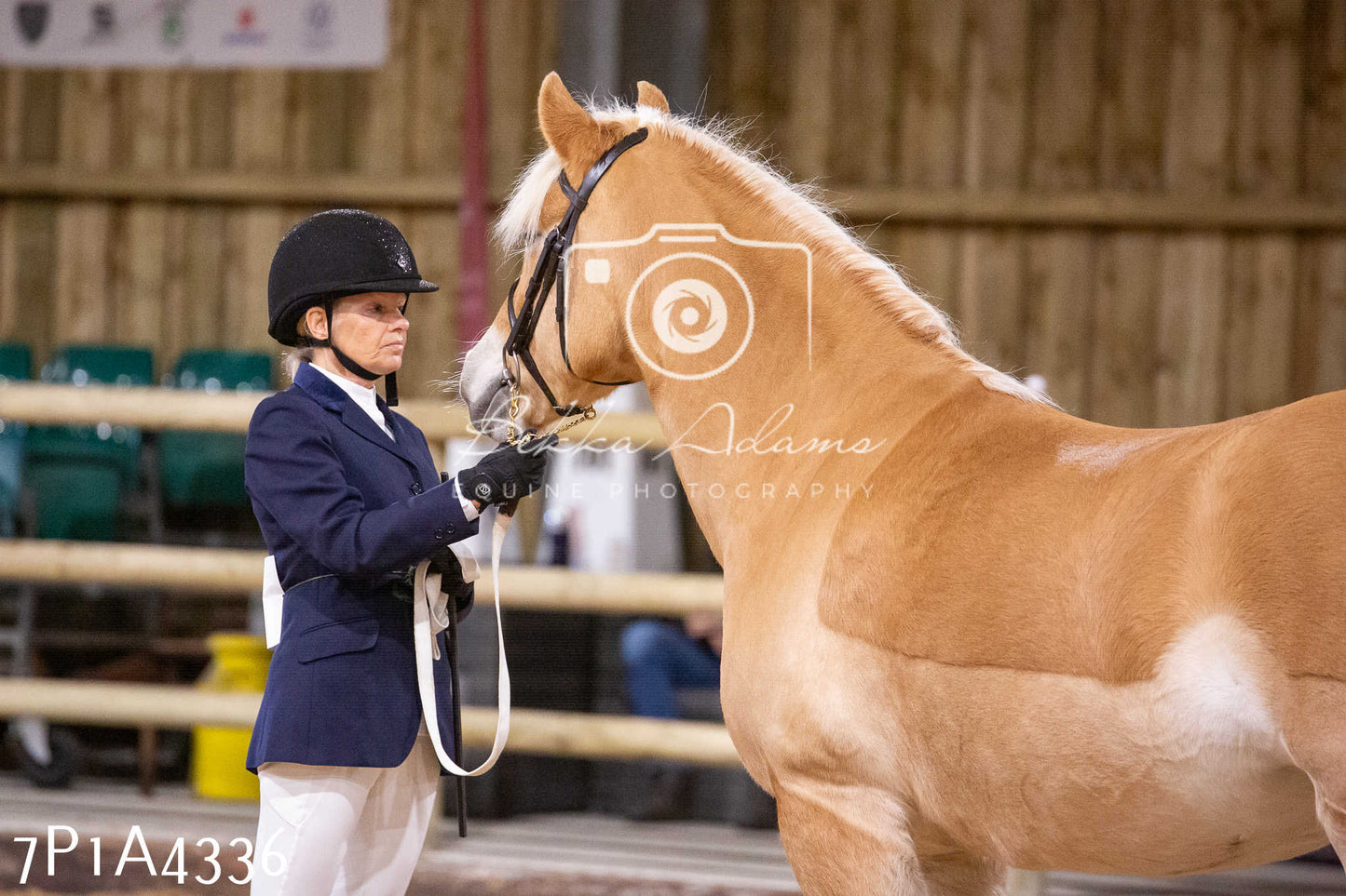 Home Farm Christmas Show 2024 - Inhand