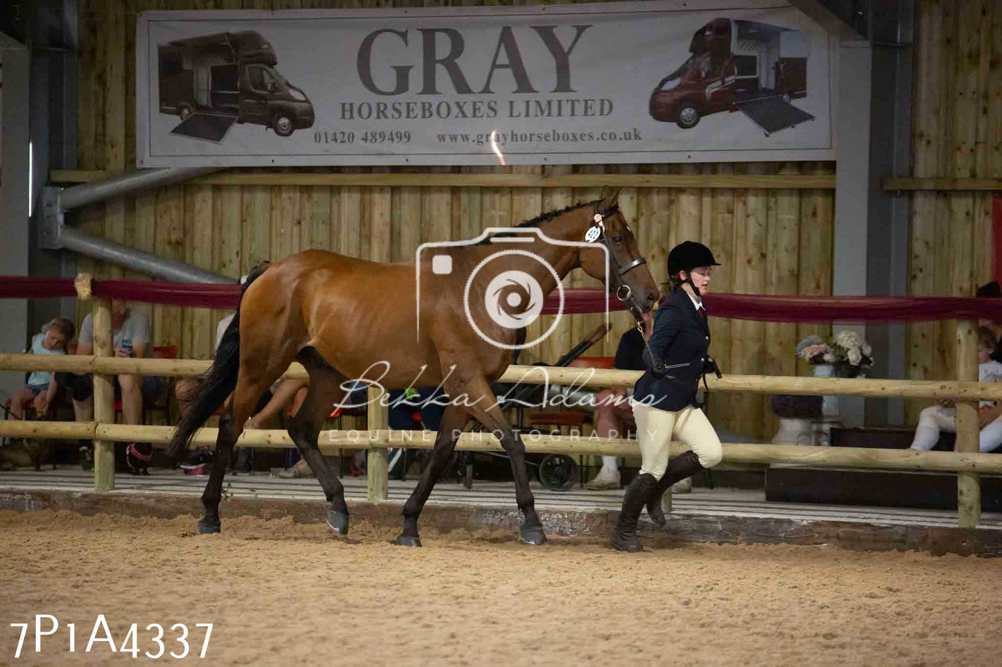 JHOYS 2023 - 9th September - Inhand Showing Pt2