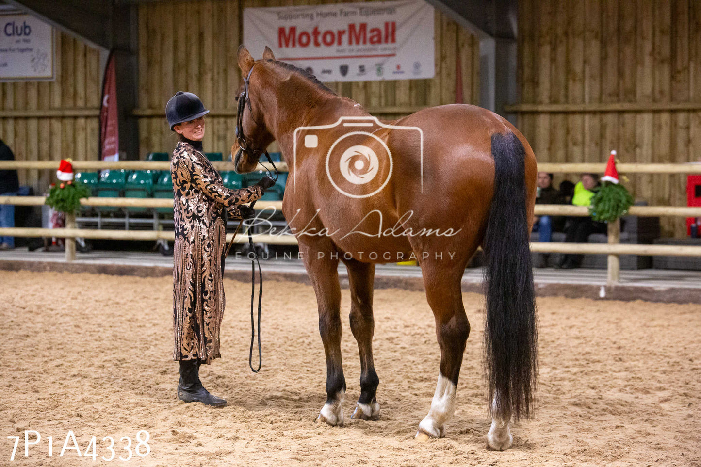 Home Farm Christmas Show 2024 - Inhand