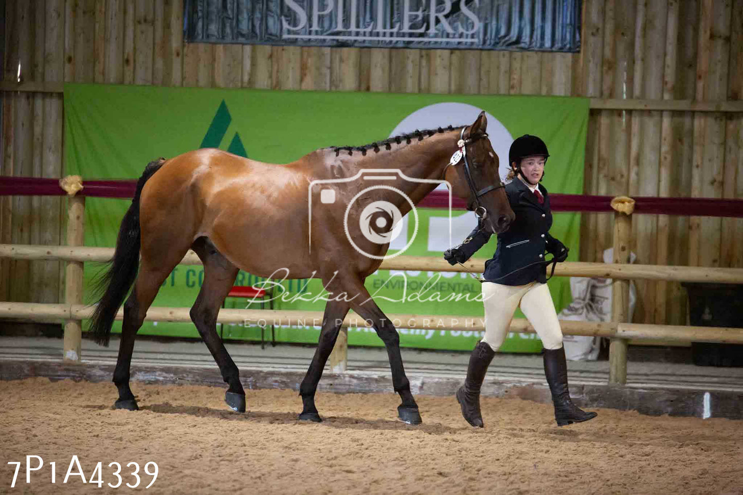 JHOYS 2023 - 9th September - Inhand Showing Pt2