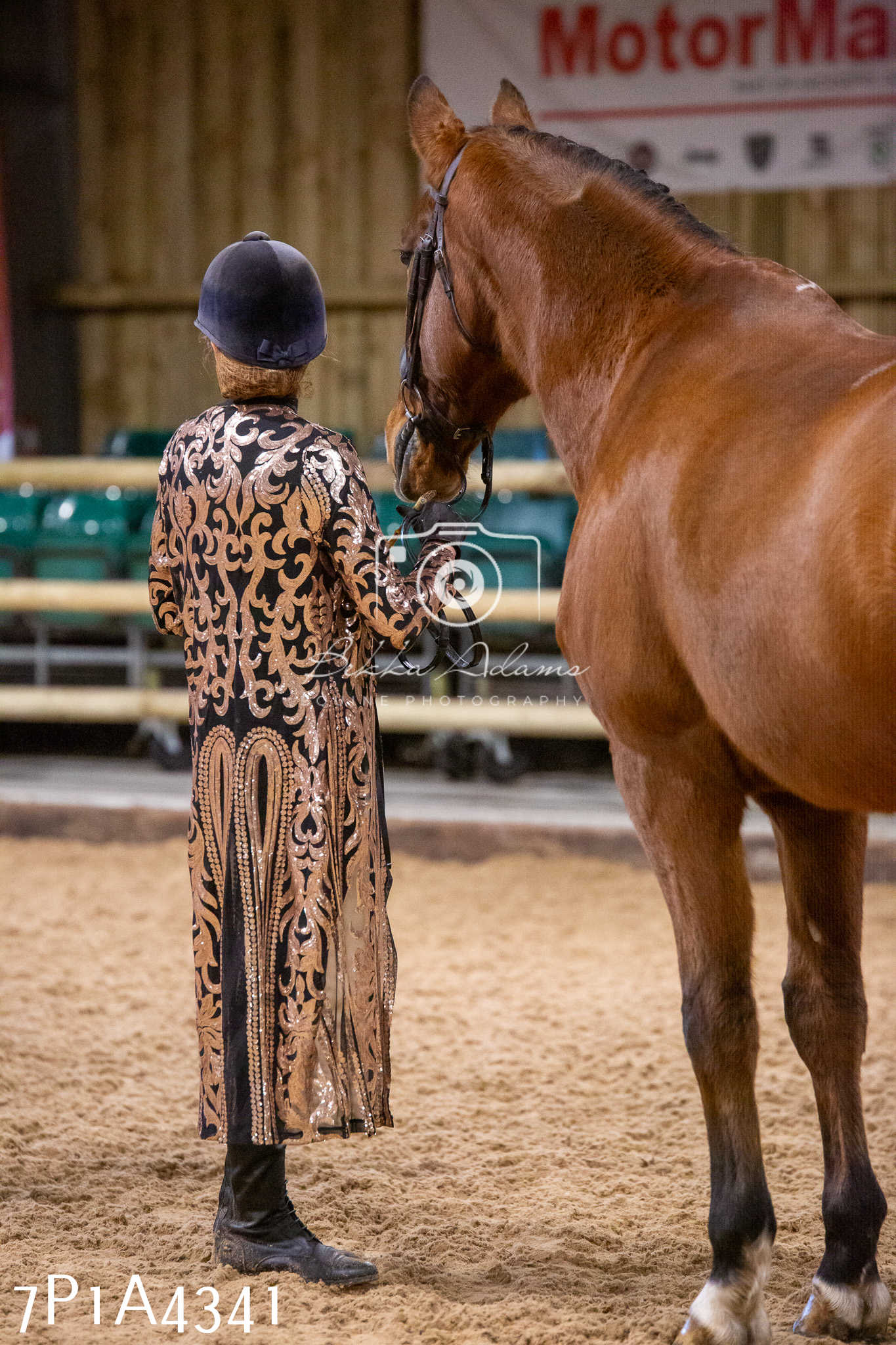 Home Farm Christmas Show 2024 - Inhand