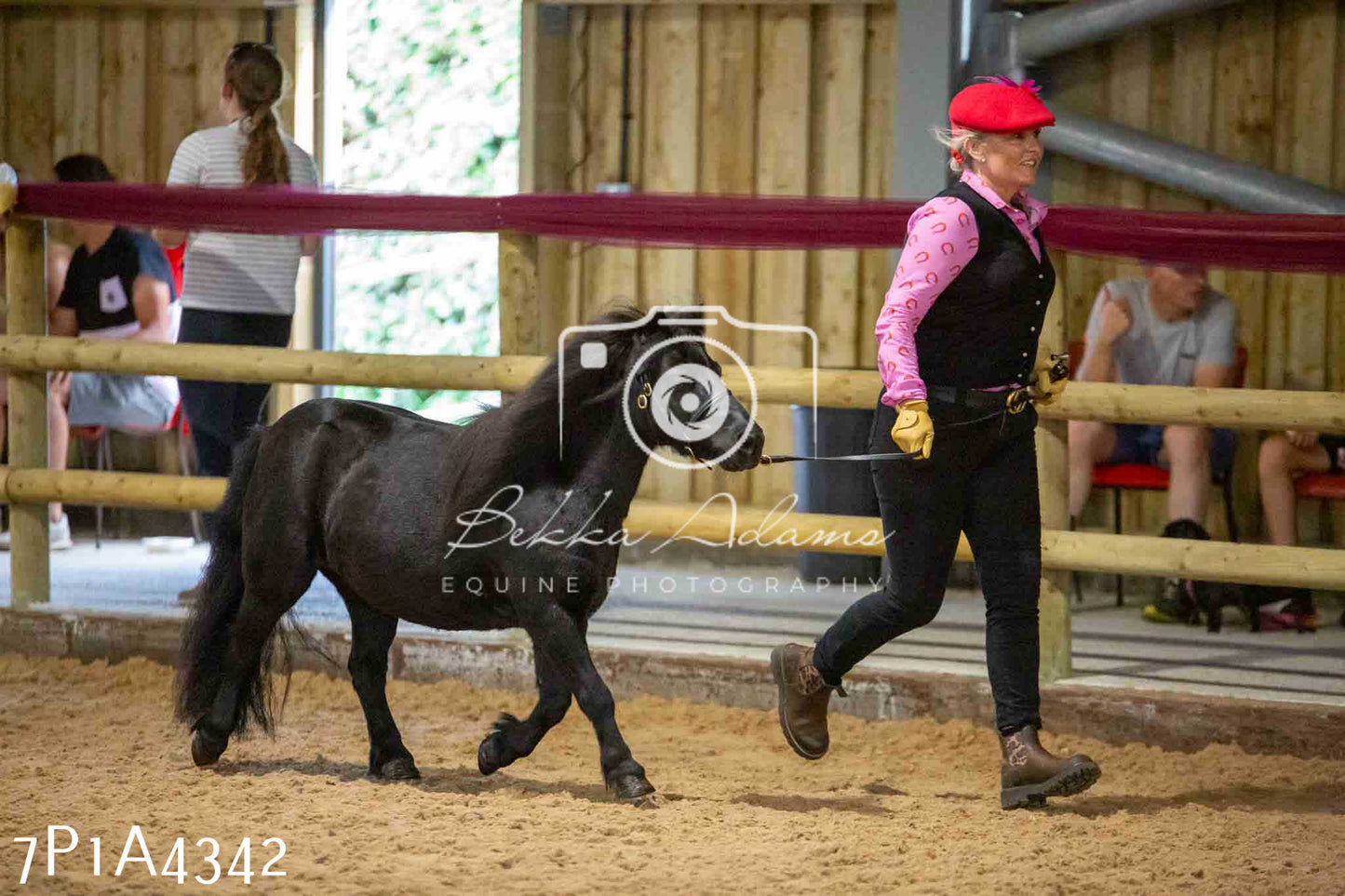 JHOYS 2023 - 9th September - Inhand Showing Pt2