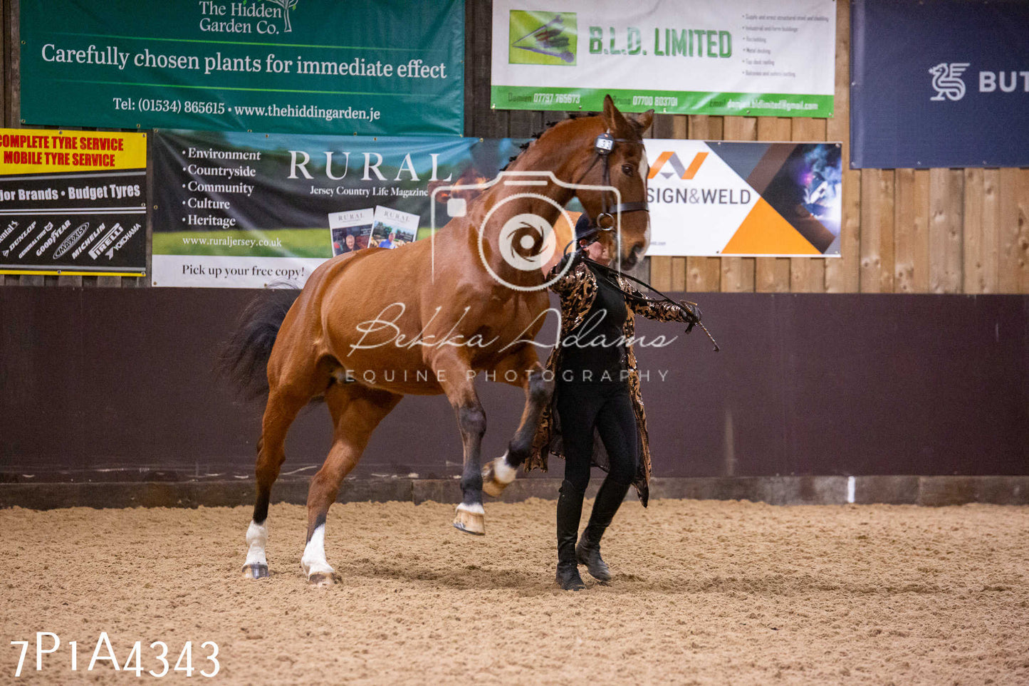 Home Farm Christmas Show 2024 - Inhand