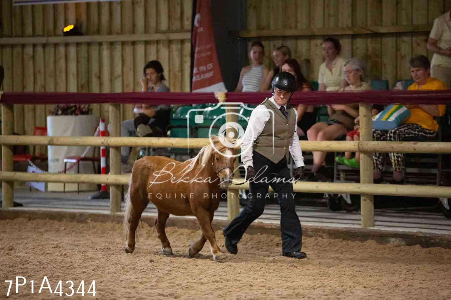 JHOYS 2023 - 9th September - Inhand Showing Pt2