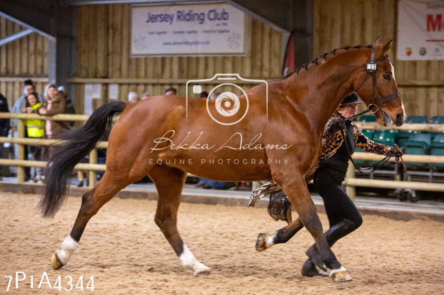 Home Farm Christmas Show 2024 - Inhand