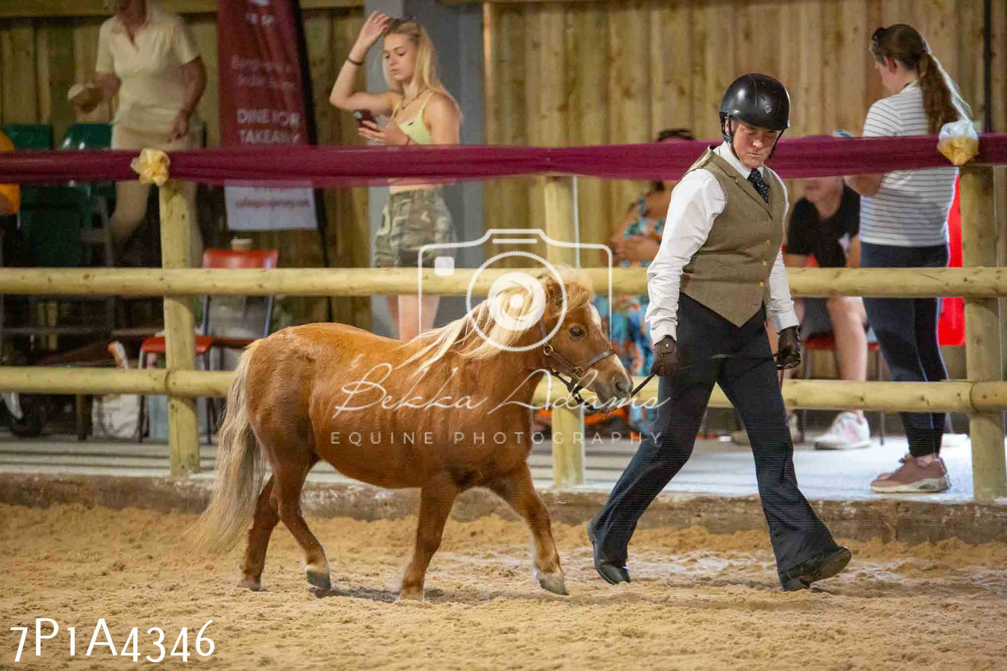JHOYS 2023 - 9th September - Inhand Showing Pt2