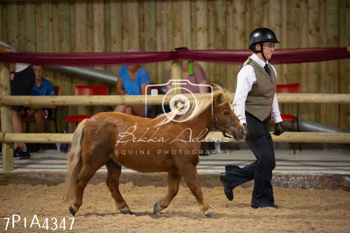 JHOYS 2023 - 9th September - Inhand Showing Pt2