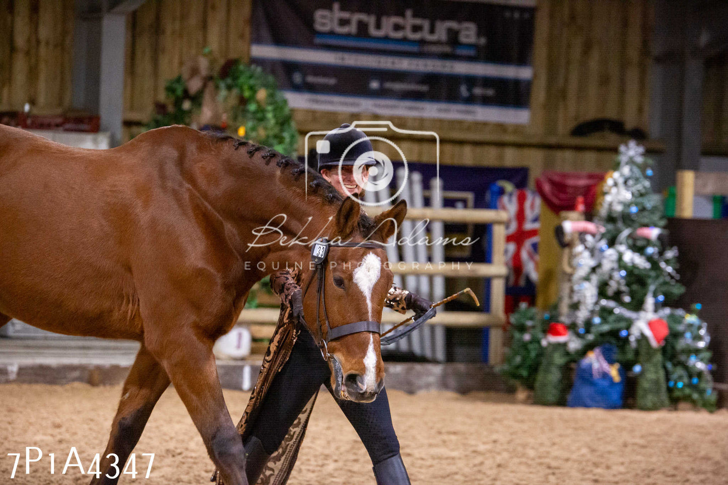 Home Farm Christmas Show 2024 - Inhand