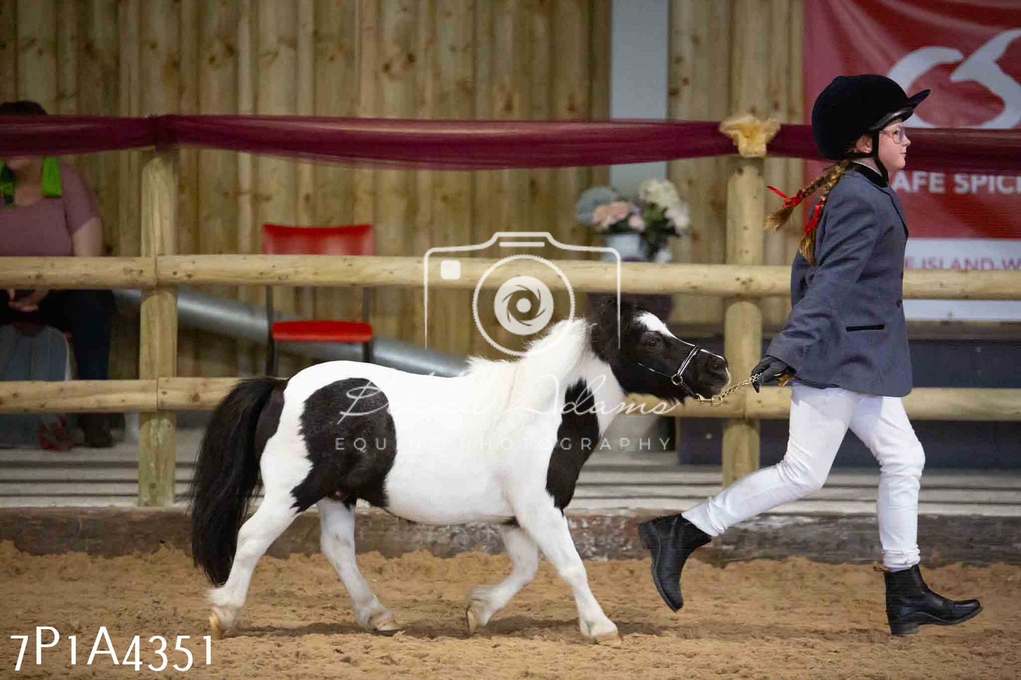 JHOYS 2023 - 9th September - Inhand Showing Pt2