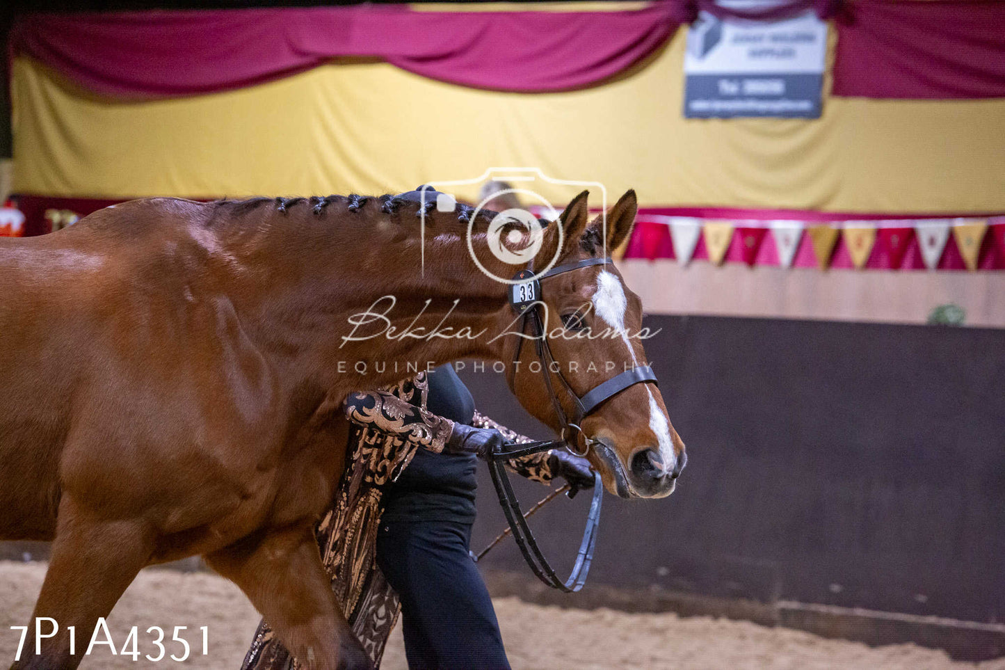 Home Farm Christmas Show 2024 - Inhand