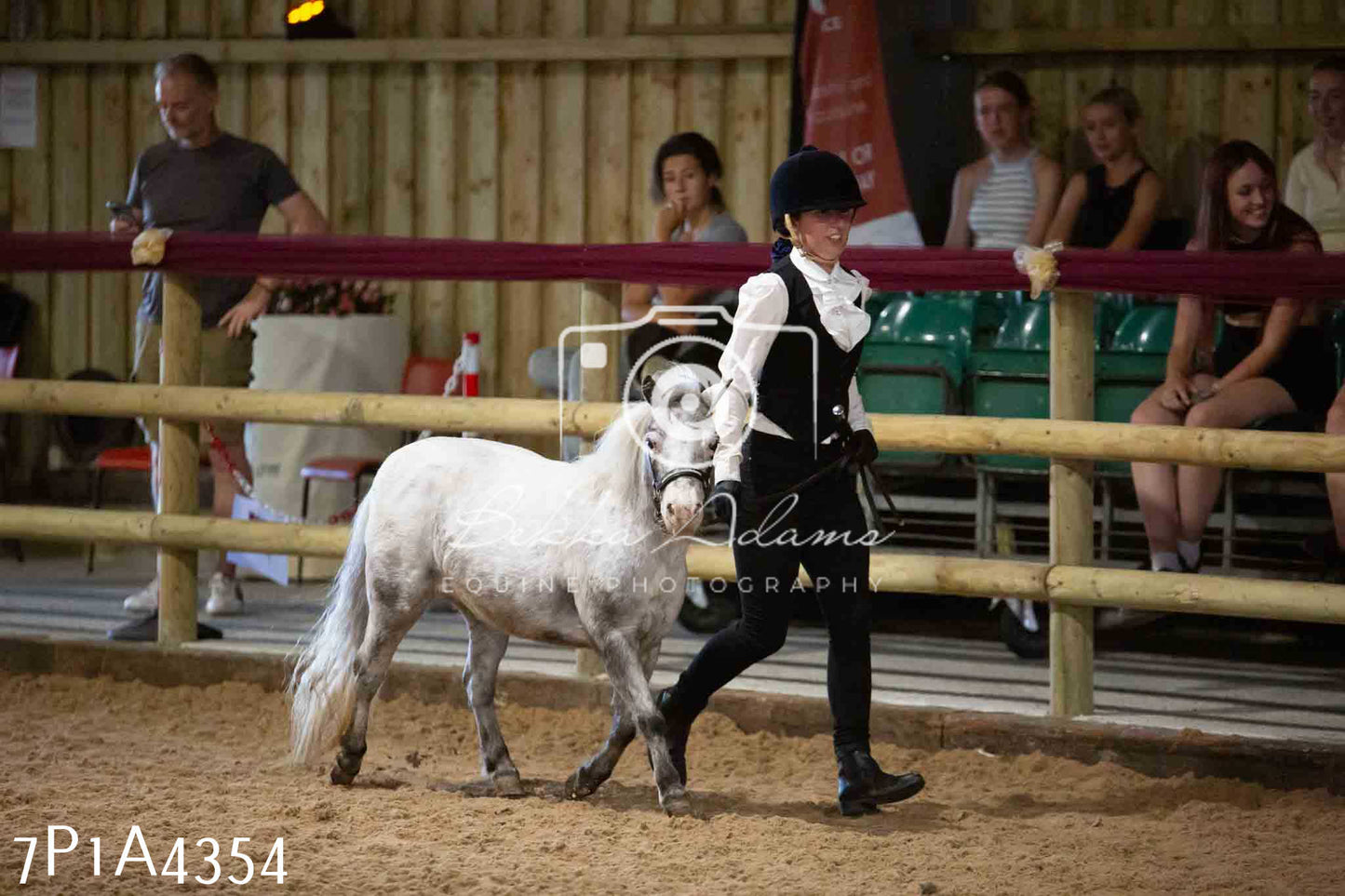 JHOYS 2023 - 9th September - Inhand Showing Pt2