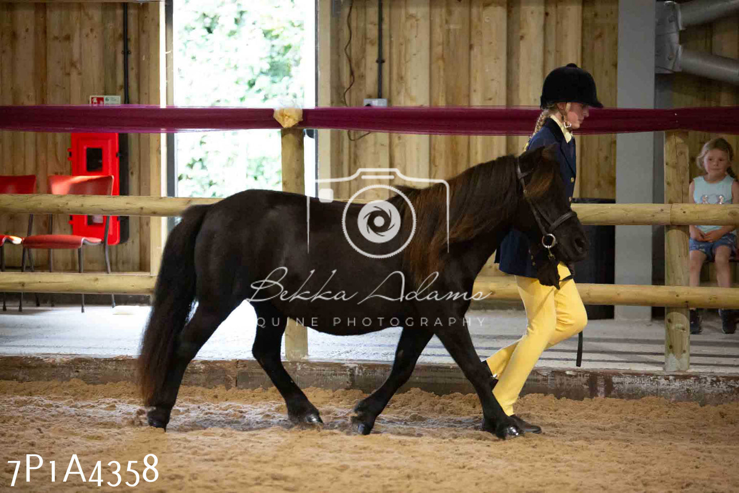 JHOYS 2023 - 9th September - Inhand Showing Pt2