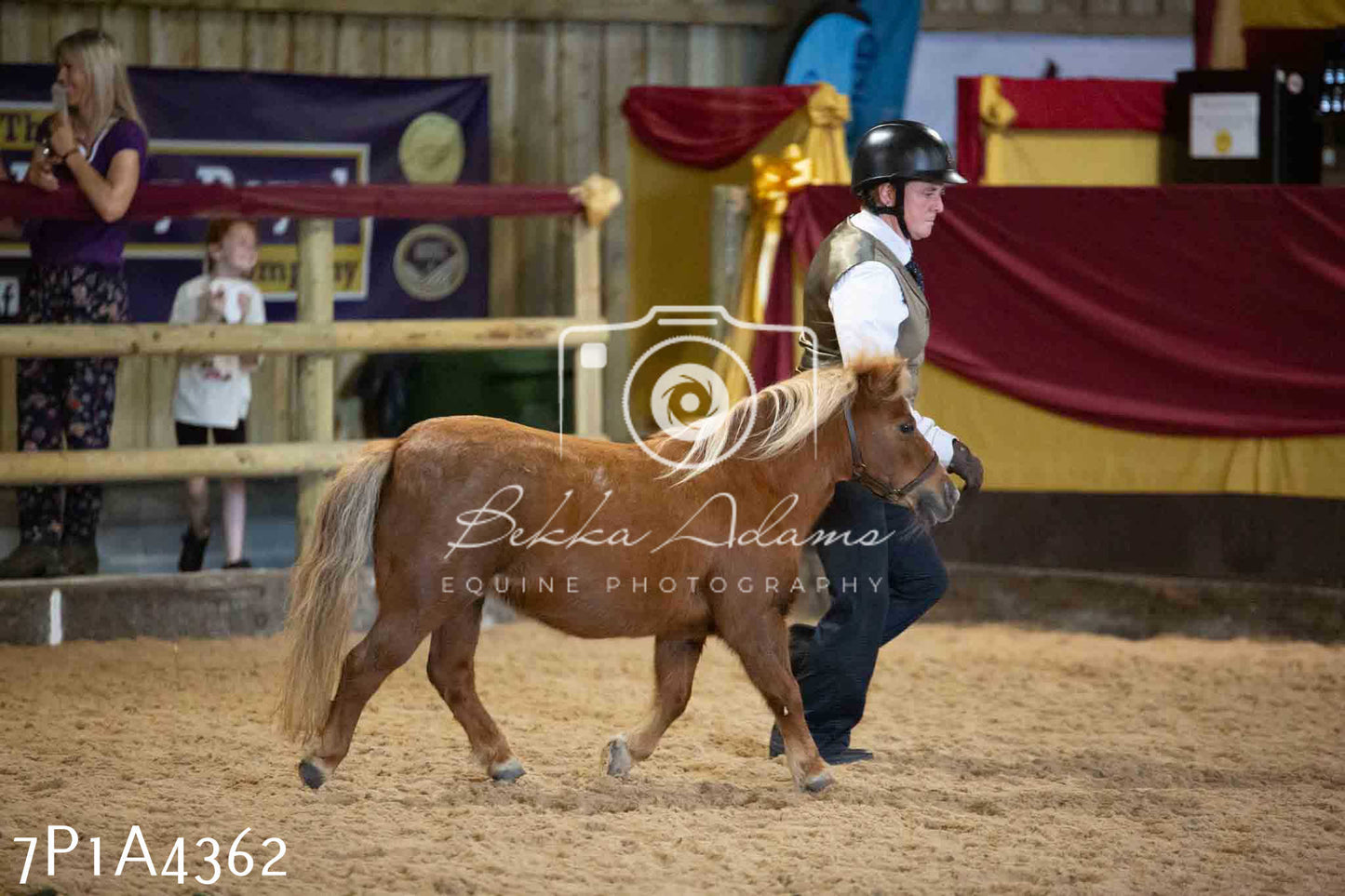 JHOYS 2023 - 9th September - Inhand Showing Pt2