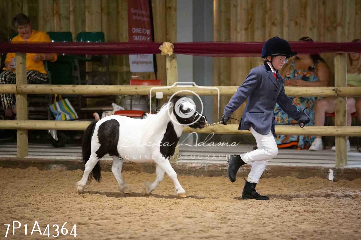 JHOYS 2023 - 9th September - Inhand Showing Pt2