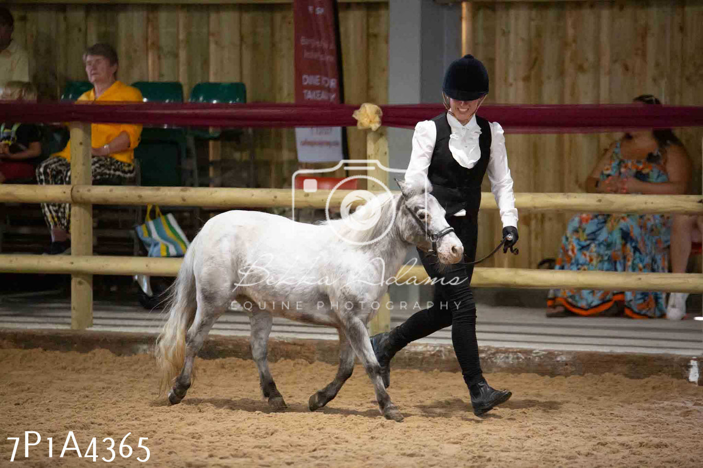 JHOYS 2023 - 9th September - Inhand Showing Pt2