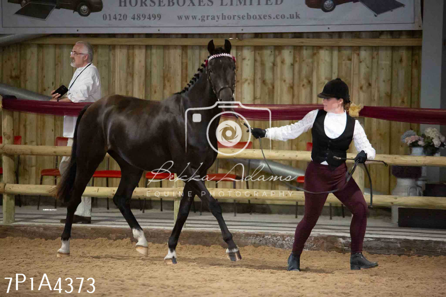 JHOYS 2023 - 9th September - Inhand Showing Pt2