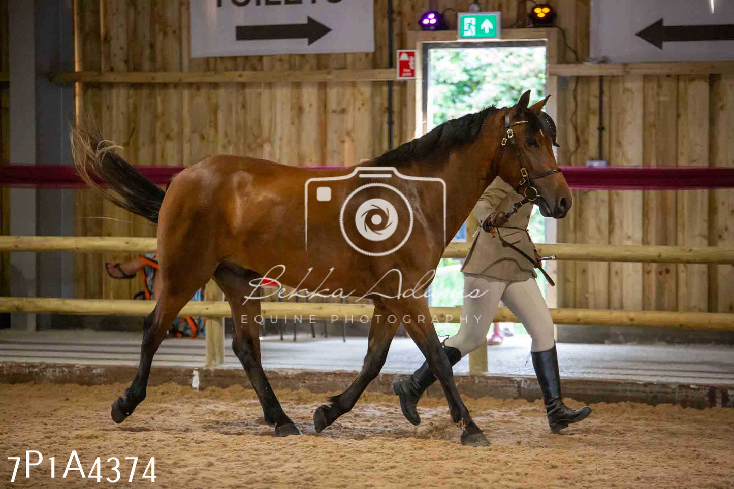 JHOYS 2023 - 9th September - Inhand Showing Pt2