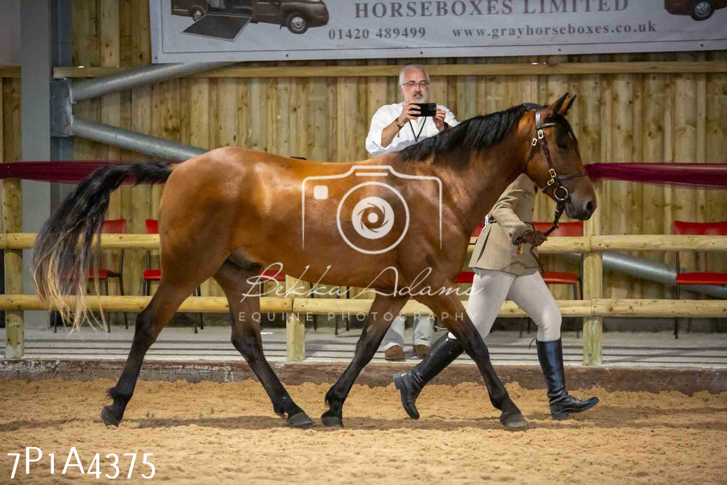 JHOYS 2023 - 9th September - Inhand Showing Pt2