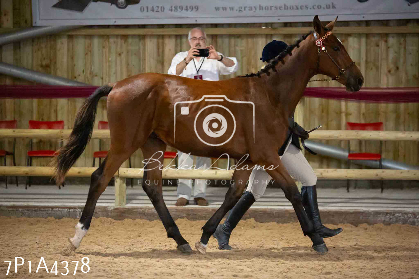 JHOYS 2023 - 9th September - Inhand Showing Pt2