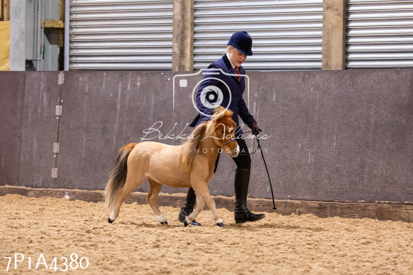 Home Farm Christmas Show 2024 - Inhand