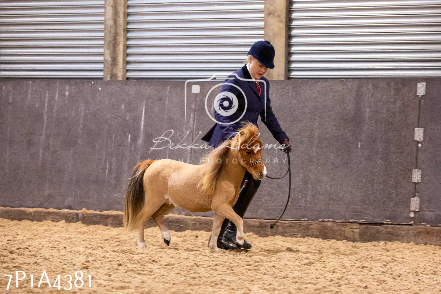 Home Farm Christmas Show 2024 - Inhand