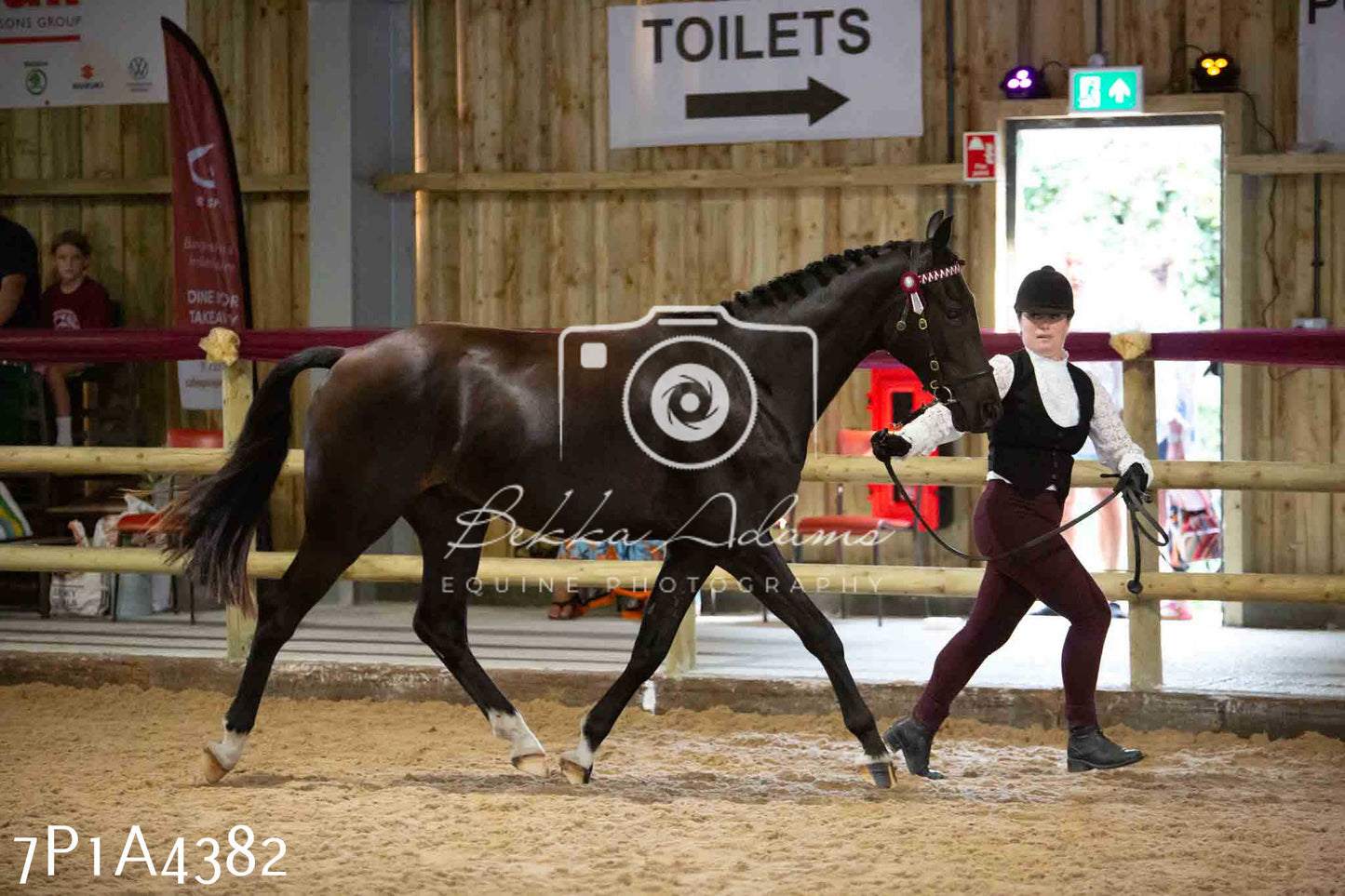 JHOYS 2023 - 9th September - Inhand Showing Pt2