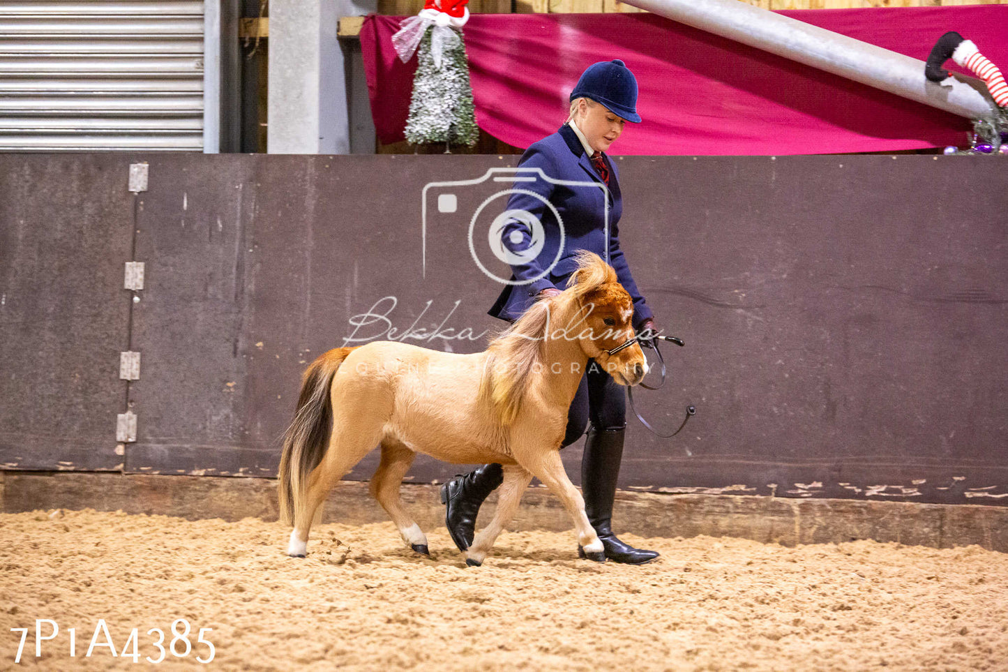 Home Farm Christmas Show 2024 - Inhand