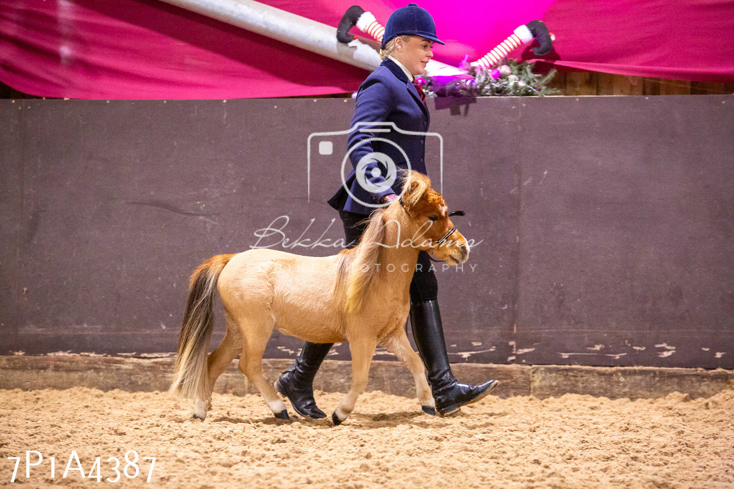 Home Farm Christmas Show 2024 - Inhand