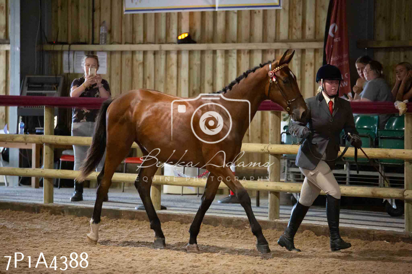 JHOYS 2023 - 9th September - Inhand Showing Pt2