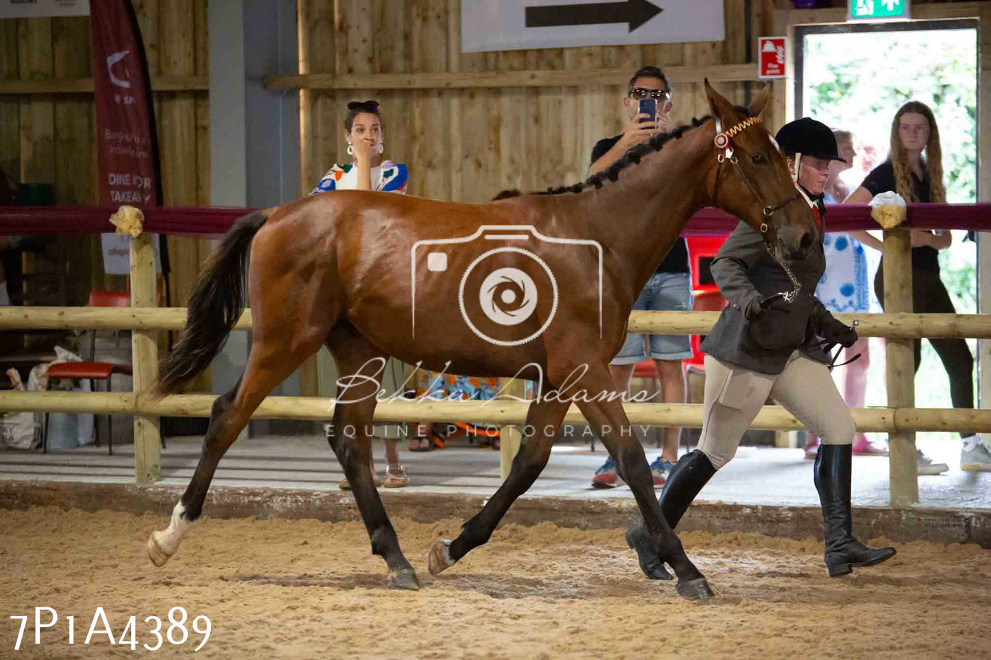 JHOYS 2023 - 9th September - Inhand Showing Pt2