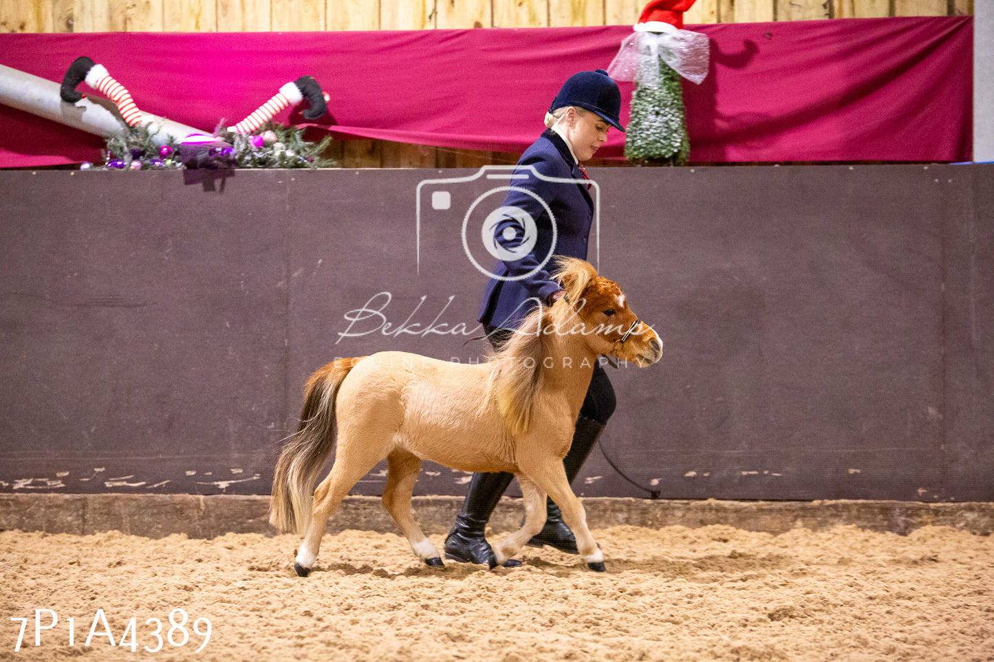 Home Farm Christmas Show 2024 - Inhand