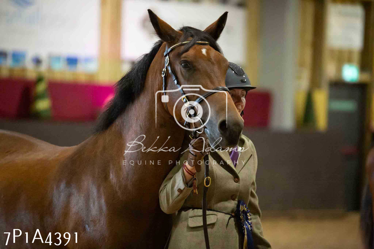 JHOYS 2023 - 9th September - Inhand Showing Pt2