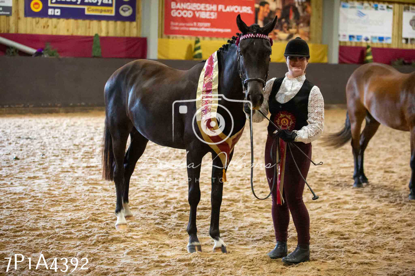 JHOYS 2023 - 9th September - Inhand Showing Pt2