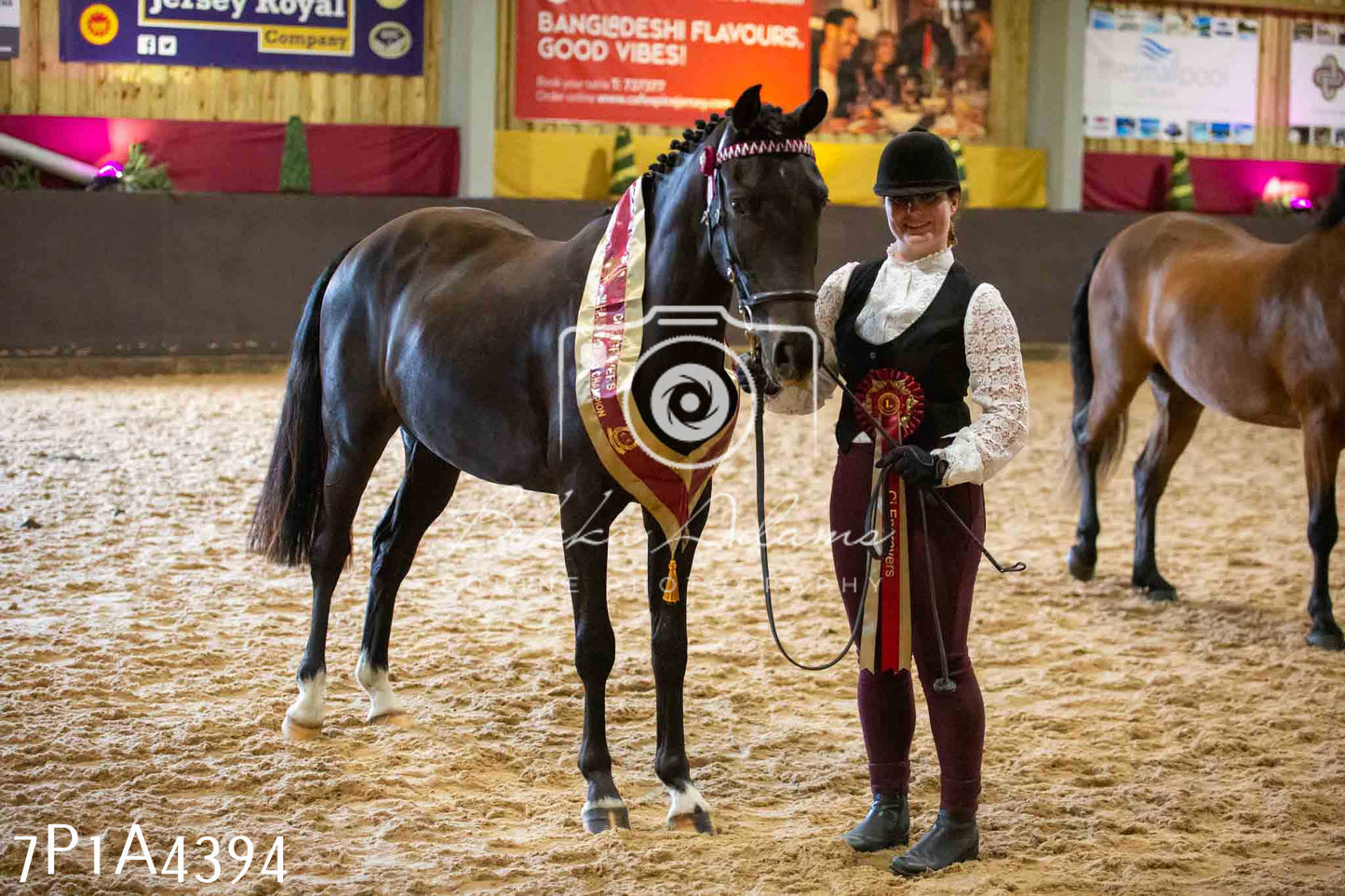 JHOYS 2023 - 9th September - Inhand Showing Pt2