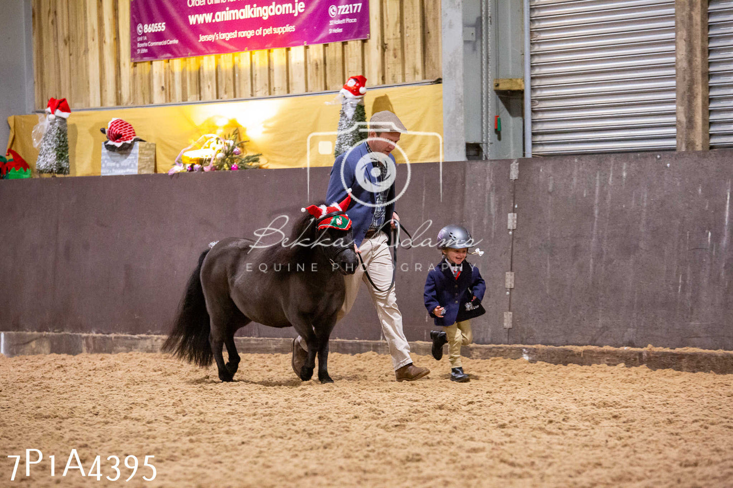 Home Farm Christmas Show 2024 - Inhand
