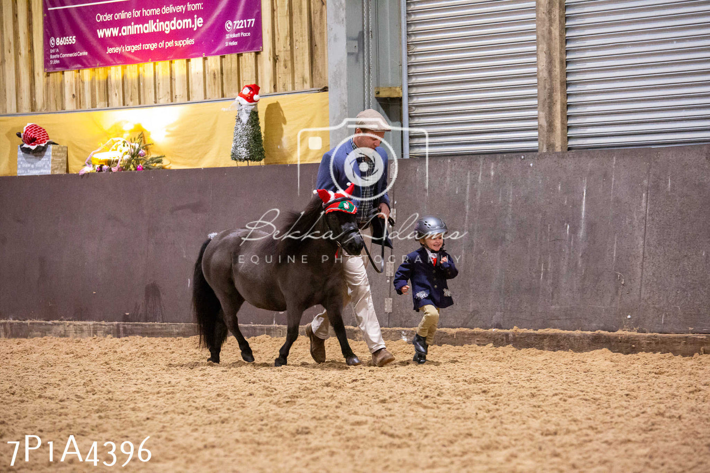 Home Farm Christmas Show 2024 - Inhand