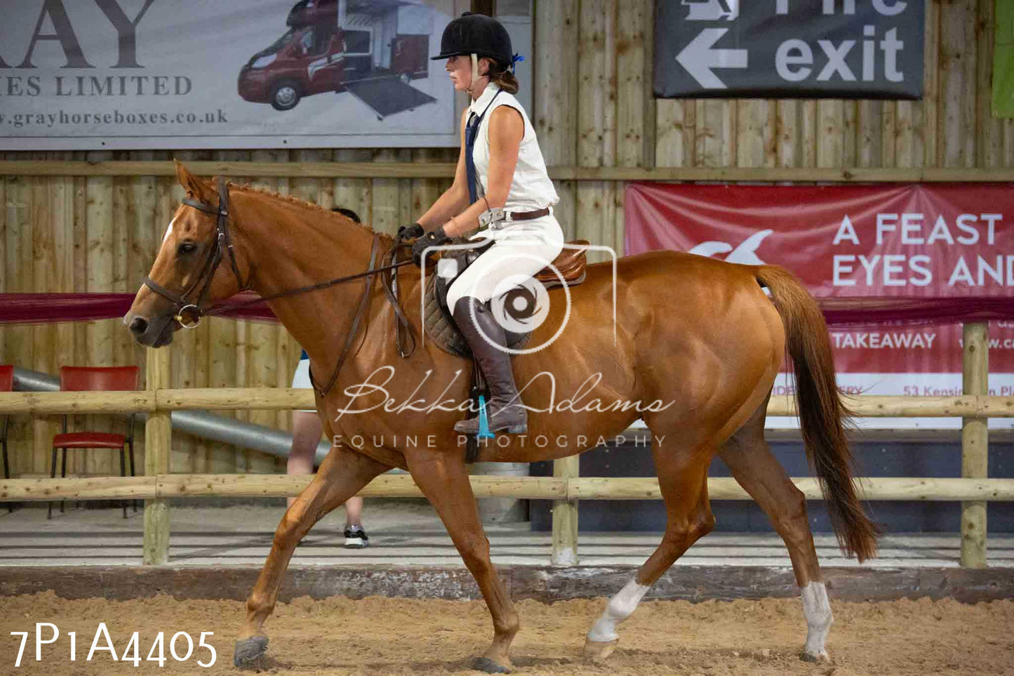JHOYS 2023 - 9th September - Inhand Showing Pt2